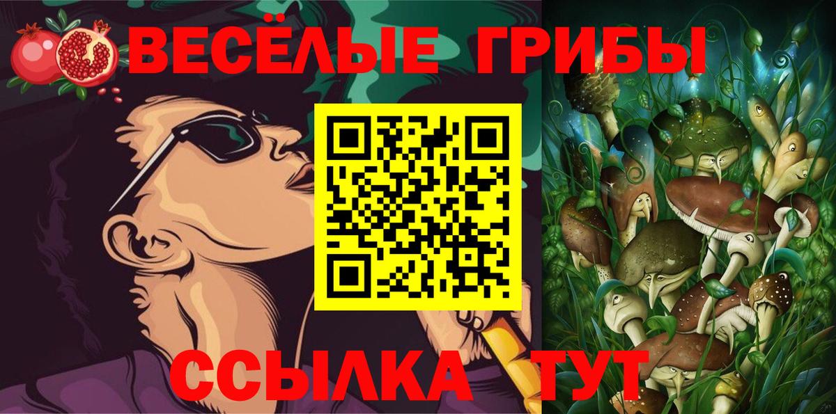 Галлюциногенные грибы Cubensis  Галлюциногенные грибы Psilocybine cubensis  Вход с VPN  Элиста 